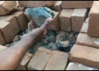 দক্ষিণী সিনেমা ‘পুষ্পা’ য় দেখানো লাল চন্দন পাচারের ঢঙে কয়লা পাচারের চেষ্টা বীরভূমে, ধরে ফেলল পুলিশ